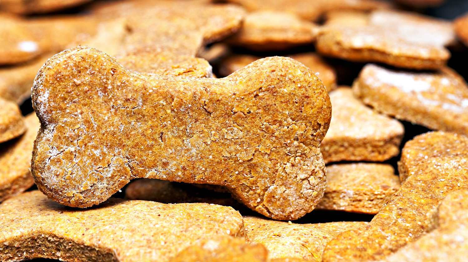 Dog Bones My Site